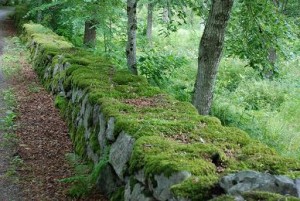 Stenmur